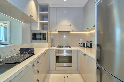 1 غرف نوم شقة في The Address Residence Fountain Views, الإمارات العربية المتحدة رقم 88111 7