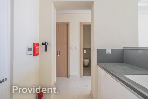 Appartement de 1 chambre à Downtown Dubai (Downtown Burj Dubai), UAE No. 96101 17