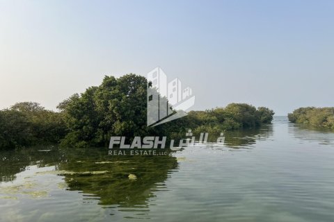 Land de 111482.7m² en Khor Al Beidah, UAE No. 88274 23