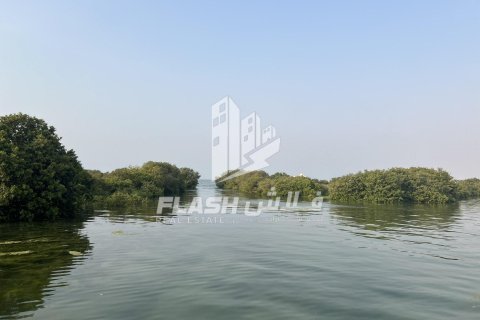 Land de 111482.7m² en Khor Al Beidah, UAE No. 88274 20