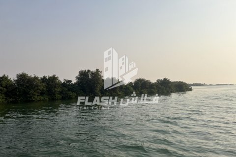 Land de 111482.7m² en Khor Al Beidah, UAE No. 88274 2