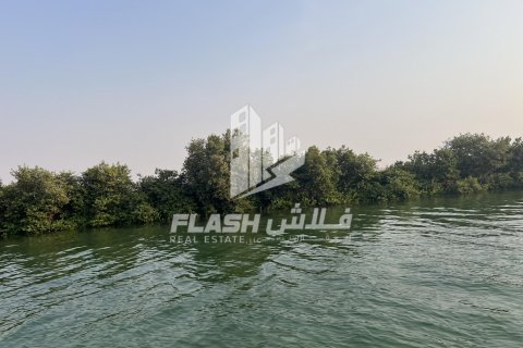 Land de 111482.7m² en Khor Al Beidah, UAE No. 88274 6
