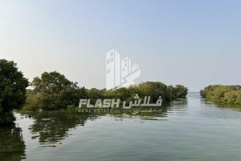 Land de 111482.7m² en Khor Al Beidah, UAE No. 88274 24