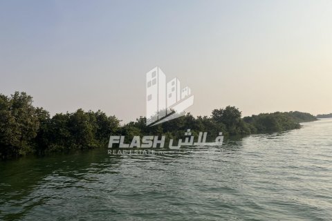Land de 111482.7m² en Khor Al Beidah, UAE No. 88274 5