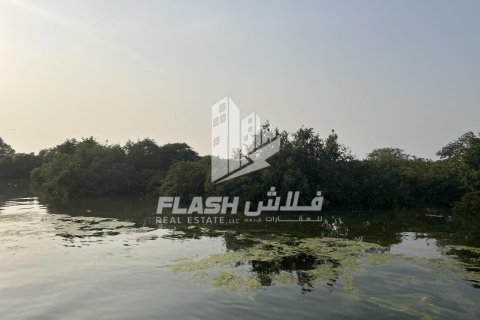 Land de 111482.7m² en Khor Al Beidah, UAE No. 88274 22