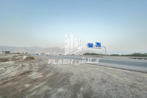 Land de 10683.8m² en Shamal Julphar, UAE No. 88262 16
