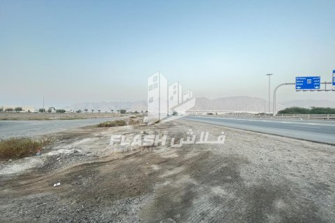 Land de 10683.8m² en Shamal Julphar, UAE No. 88262 15