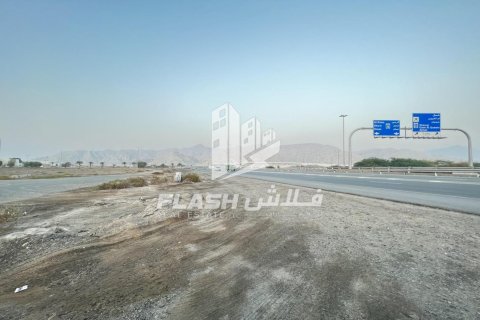 Land de 10683.8m² en Shamal Julphar, UAE No. 88262 14