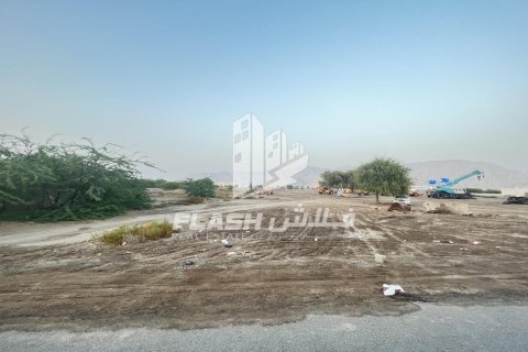 Land de 10683.8m² en Shamal Julphar, UAE No. 88262 10