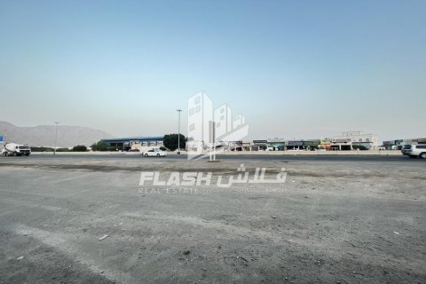 Land de 10683.8m² en Shamal Julphar, UAE No. 88262 4