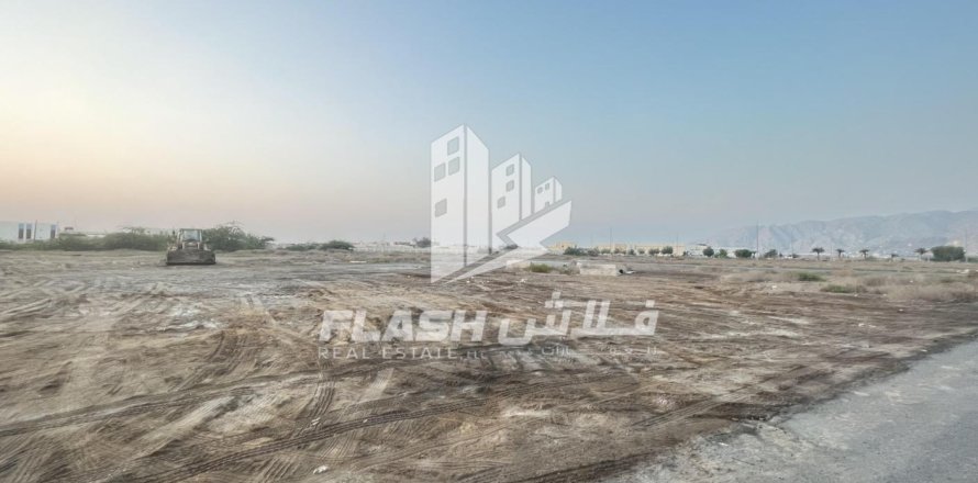 Land de 10683.8m² en Shamal Julphar, UAE No. 88262