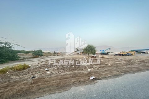 Land de 10683.8m² en Shamal Julphar, UAE No. 88262 7