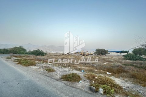 Land de 10683.8m² en Shamal Julphar, UAE No. 88262 13