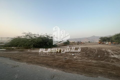 Land de 10683.8m² en Shamal Julphar, UAE No. 88262 6