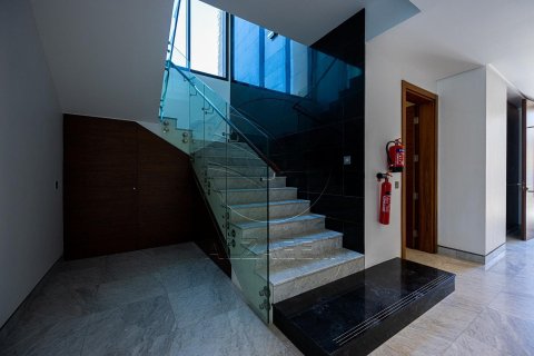 4 bedrooms Villa on the Saadiyat Island, UAE No. 90050 16