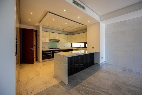 4 bedrooms Villa on the Saadiyat Island, UAE No. 90050 21