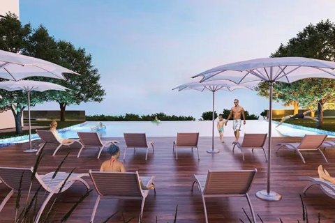 36.6m² Apartment  No. 106302 11