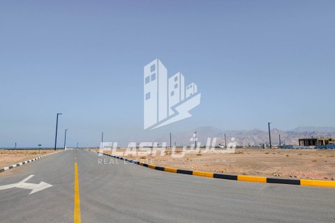 Land de 451.2m² en Al Mairid, UAE No. 88310 16