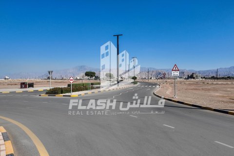 Land de 451.2m² en Al Mairid, UAE No. 88310 11