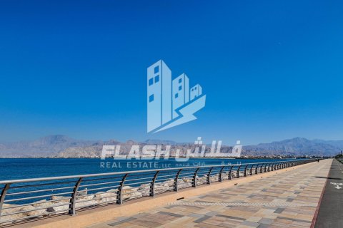 Land de 451.2m² en Al Mairid, UAE No. 88310 7