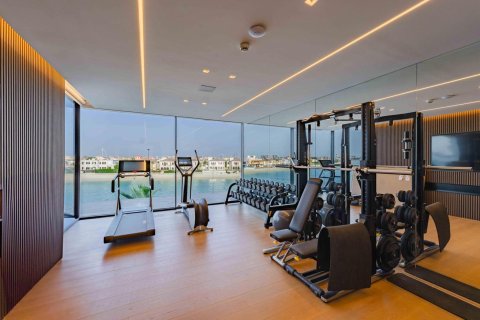 Villa de 5 chambres à Palm Jumeirah, UAE No. 89715 21