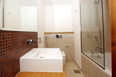 2 bedrooms Apartment in Al Raha Beach, UAE No. 82345 13