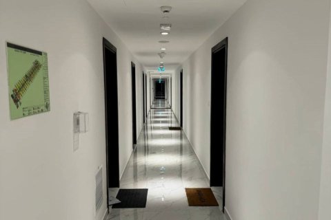 2 bedrooms Apartment in Oasis Residences, UAE No. 79187 8