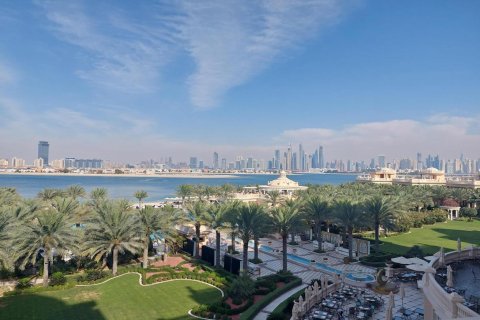 استوديو شقة في The Crescent, الإمارات العربية المتحدة رقم 87984 2