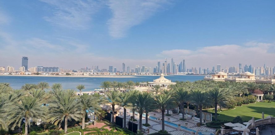 استوديو شقة في The Crescent, الإمارات العربية المتحدة رقم 87984