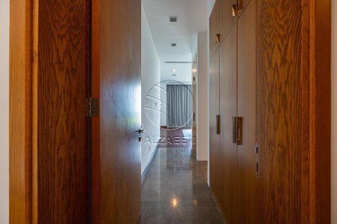 5 bedrooms Villa in Nurai Island, UAE No. 91001 6