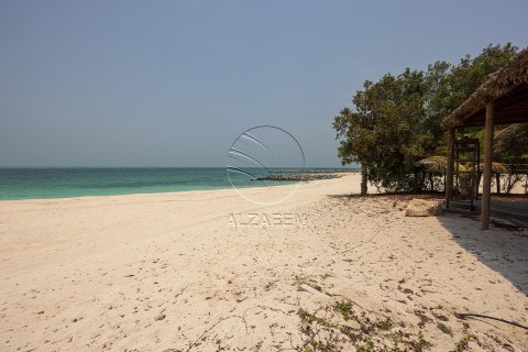 5 bedrooms Villa in Nurai Island, UAE No. 91001 12