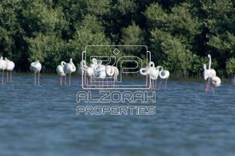 Квартира с 1 спальней в BEACH HILLS, Al Zorah, ОАЭ №97823 12