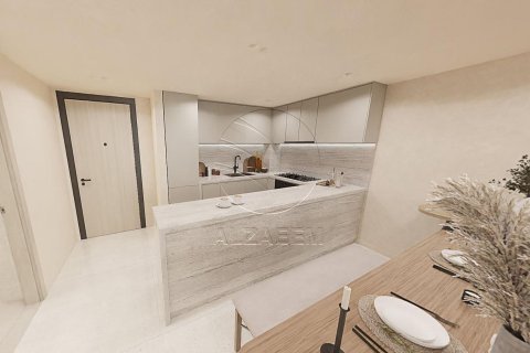 1 bedroom Apartment on the Saadiyat Cultural District, UAE No. 90333 10