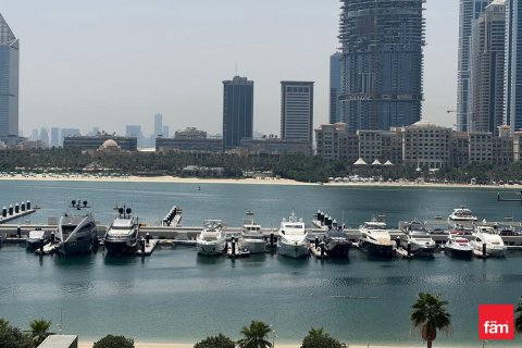Appartement de 1 chambre à Dubai Harbour, UAE No. 103431 12