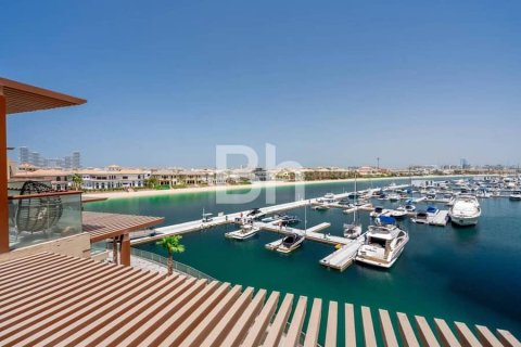 Appartement de 51m² à Palm Jumeirah, UAE No. 67029 15