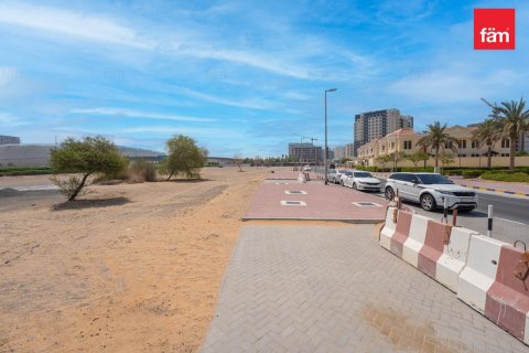 525.2مربع، قطعة أرض في Wadi Al Safa 2, الإمارات العربية المتحدة رقم 87342 5