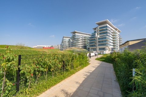 Квартира с 2 спальнями на Остров Яс, ОАЭ №79325 30