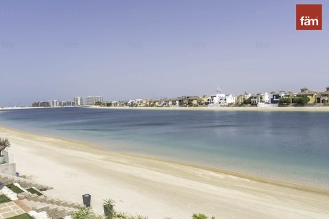 4 غرف نوم فيلا في نخلة جميرا, الإمارات العربية المتحدة رقم 71531 26