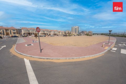 525.3مربع، قطعة أرض في Wadi Al Safa 2, الإمارات العربية المتحدة رقم 87319 7