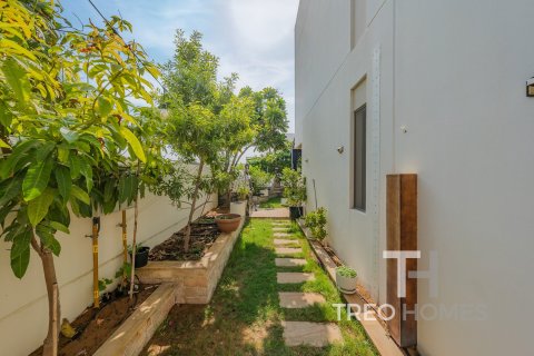 4 bedrooms Townhouse in Noor Townhouses, UAE No. 73915 15