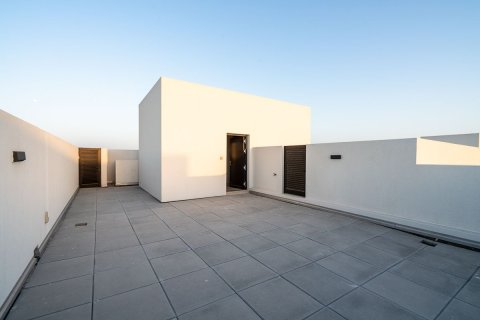 4 bedrooms Commercial property on the Saadiyat Island, UAE No. 79264 27