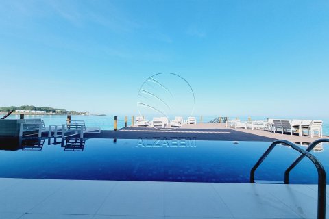 4 bedrooms Villa in Nurai Island, UAE No. 90398 3
