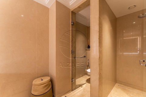 Apartment de 2 dormitorios en  Al Maryah Island, UAE No. 89970 10