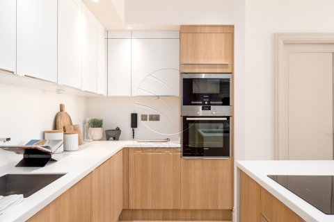 Apartment de 2 dormitorios en  Al Maryah Island, UAE No. 89970 15