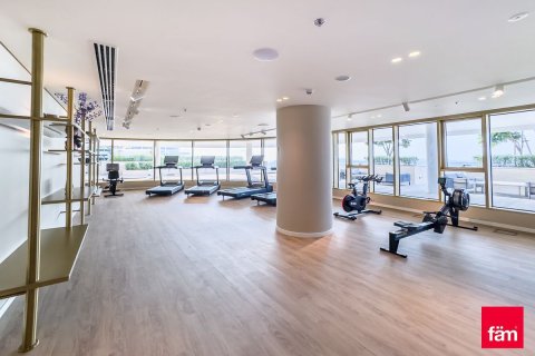 3 bedrooms Apartment in Dubai Harbour, UAE No. 90616 11