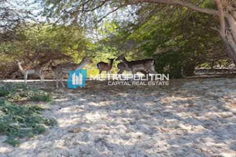 Земельный участок 756.2м² в Ghantoot, ОАЭ №103183 9