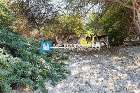 Земельный участок 756.2м² в Ghantoot, ОАЭ №103183 6