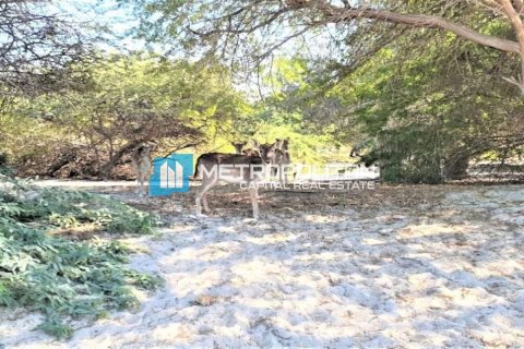 Земельный участок 756.2м² в Ghantoot, ОАЭ №103183 4