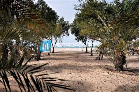 Земельный участок 756.2м² в Ghantoot, ОАЭ №103183 5