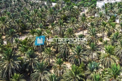 Земельный участок 756.2м² в Ghantoot, ОАЭ №103183 10
